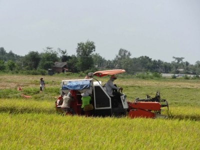 Lũ tháng 8 ở ĐBSCL không ảnh hưởng lúa hè thu và thu đông