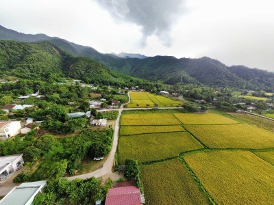 Nông nghiệp công nghệ cao dẫn dắt kinh tế xanh