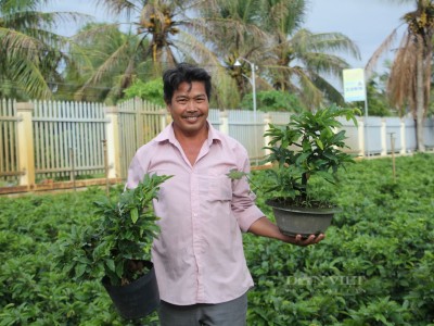 Chặt bỏ vườn chôm chôm trồng cây cảnh báo mùa Xuân về, một người Bến Tre là Nông dân Việt Nam xuất sắc 2022