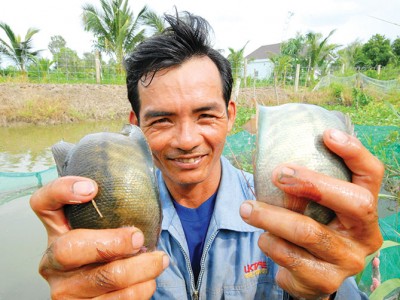 Sinh kế mới cho người dân đầu nguồn sông Mekong