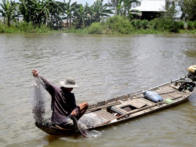 Mùa nước nổi An Giang, nước tràn đồng, rọi đèn pin thấy dân bắt được cá linh, cá mè vinh tươi rói