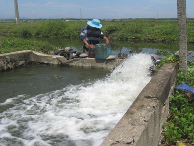 Nguồn nước thay đổi đột ngột, cá nuôi ở một xã của TT-Huế lại chết