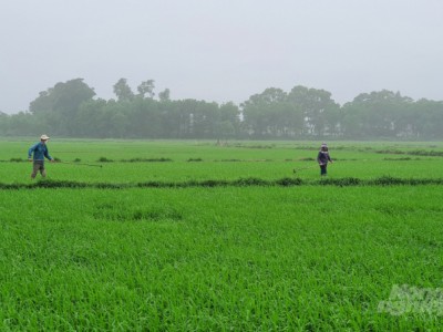 Đảm bảo chủ động nguồn nước sản xuất vụ đông xuân