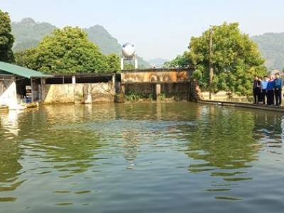 Nữ tỷ phú này ở Lào Cai nuôi con gì dưới ao mà bao người đến xem, năm nào cũng thu tiền tỷ?