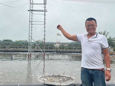 Nuôi tôm nhảy rô rố, nuôi cua to bự trong hộp nhựa, một nông dân Hà Tĩnh thành tỷ phú