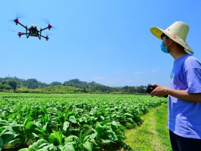 Phát tài nhờ máy bay không người lái
