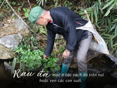 Loại rau có tên cứng như đá rất hiếm ở Tây Bắc, ăn mùa hè cảm giác sảng khoái, thanh mát