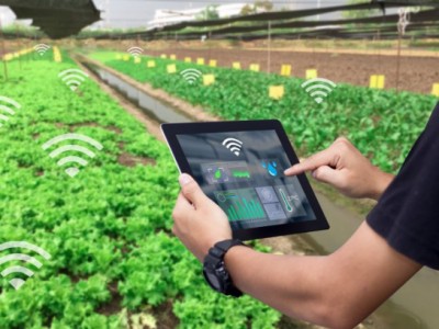 Nông dân Việt Nam quan tâm tới số hóa nhiều hơn các nước trong khu vực