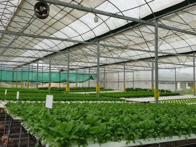 Đẩy mạnh công tác tưới tiên tiến, tiết kiệm nước cho cây trồng khô cạn