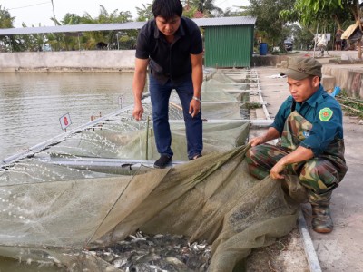 Nghệ An xây dựng các vùng nuôi trồng thủy sản có môi trường sạch