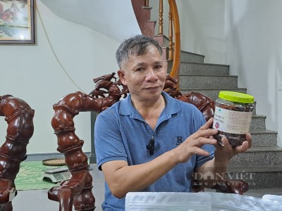Chế biến ra loại trà độc lạ, lợi ích cho sức khỏe, ông nông dân Thái Nguyên được nhiều người khen