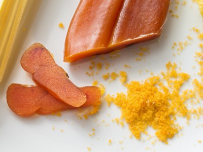 Loài cá được mệnh danh là 