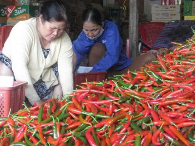 Trung Quốc chấp thuận cho 5 doanh nghiệp Việt Nam xuất khẩu ớt tươi chính ngạch