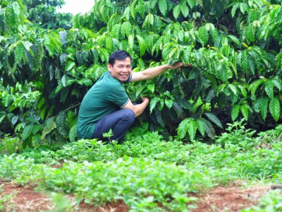 Nông dân Đắk Lắk 'nói không' với Glyphosate