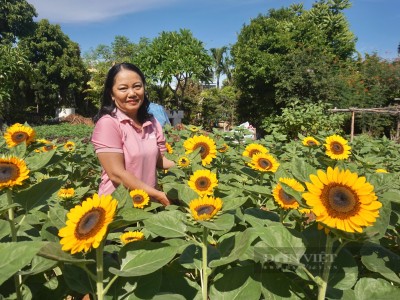 Làm vườn hoa trong phố đẹp như phim, bà nông dân Đà Nẵng mua, bán thứ gì mà lãi hàng trăm triệu?