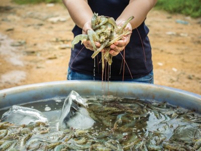 5 cách để chúng ta cùng vượt qua Covid-19