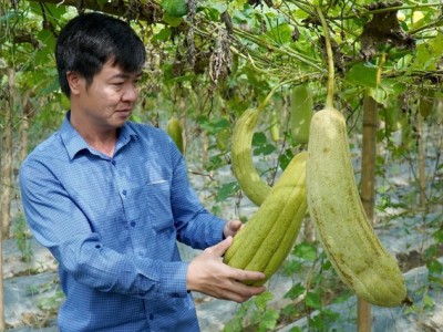 Một người Bắc Ninh 